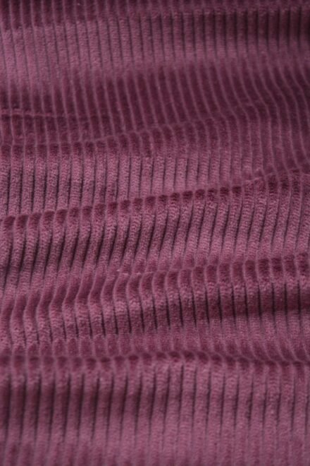 Organic Corduroy Fabric 4 Wales - Image 2
