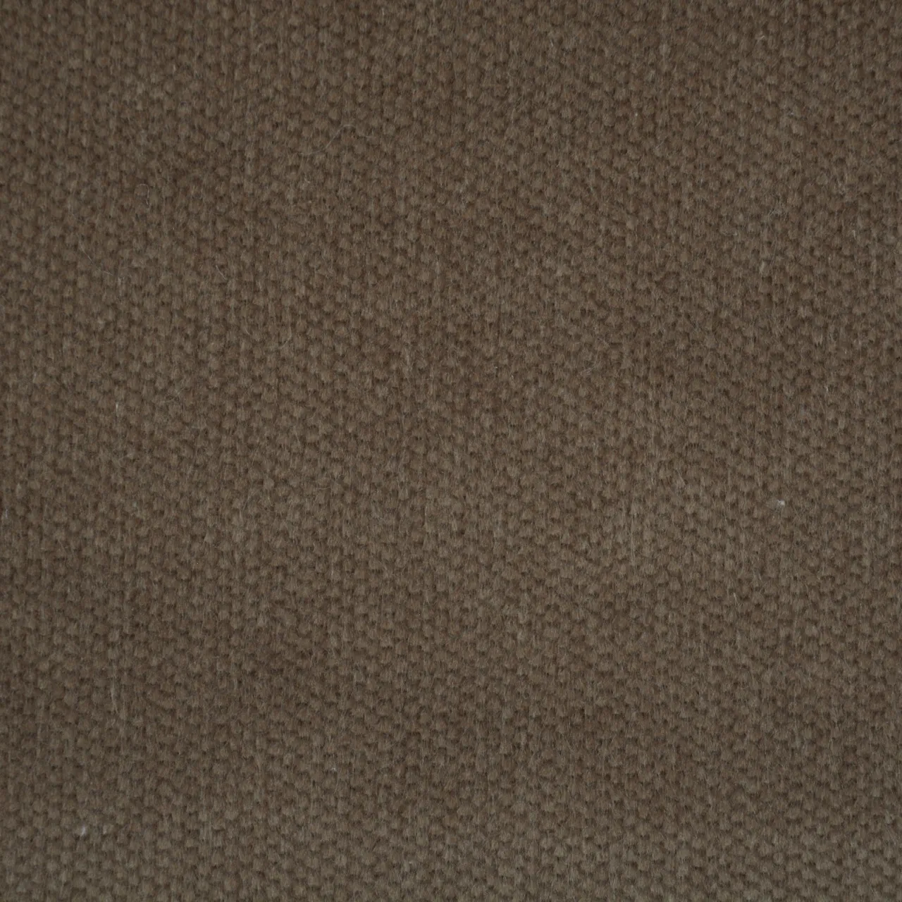 Organic Corduroy Fabric 19 Wales (Perfect Yellow Ochre) - Image 3